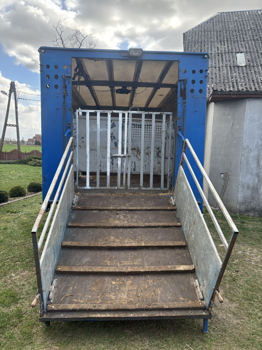 Transport żywych zwierząt i inne