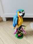 LEGO creator, egzotyczna papuega 31136