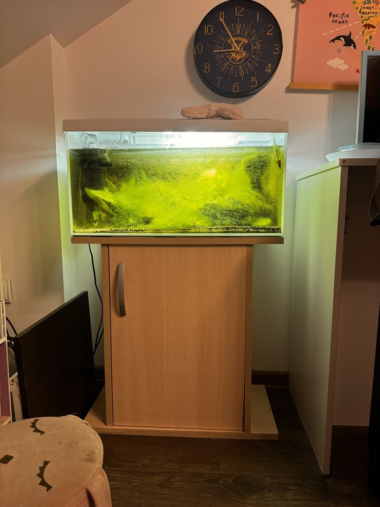 Akwarium 60l Aquael + filtr + oświetlenie