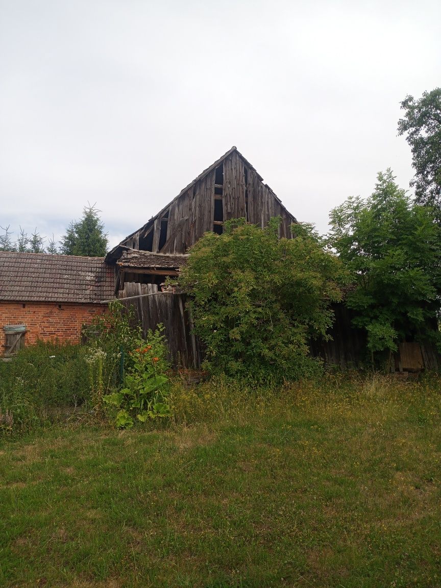 Rozbiórka stodoły/ stare drewno