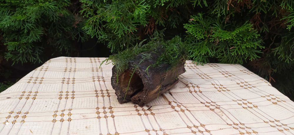 Grota do akwarium-16 cm+mech