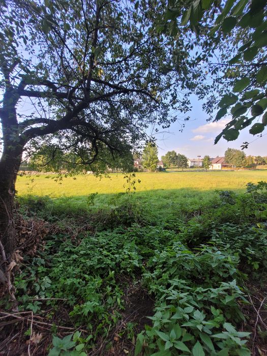 Działka budowlana Rogóźno, Wyzwolenia