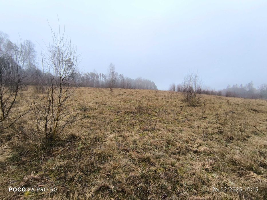 Syndyk sprzeda niezabudowaną działkę