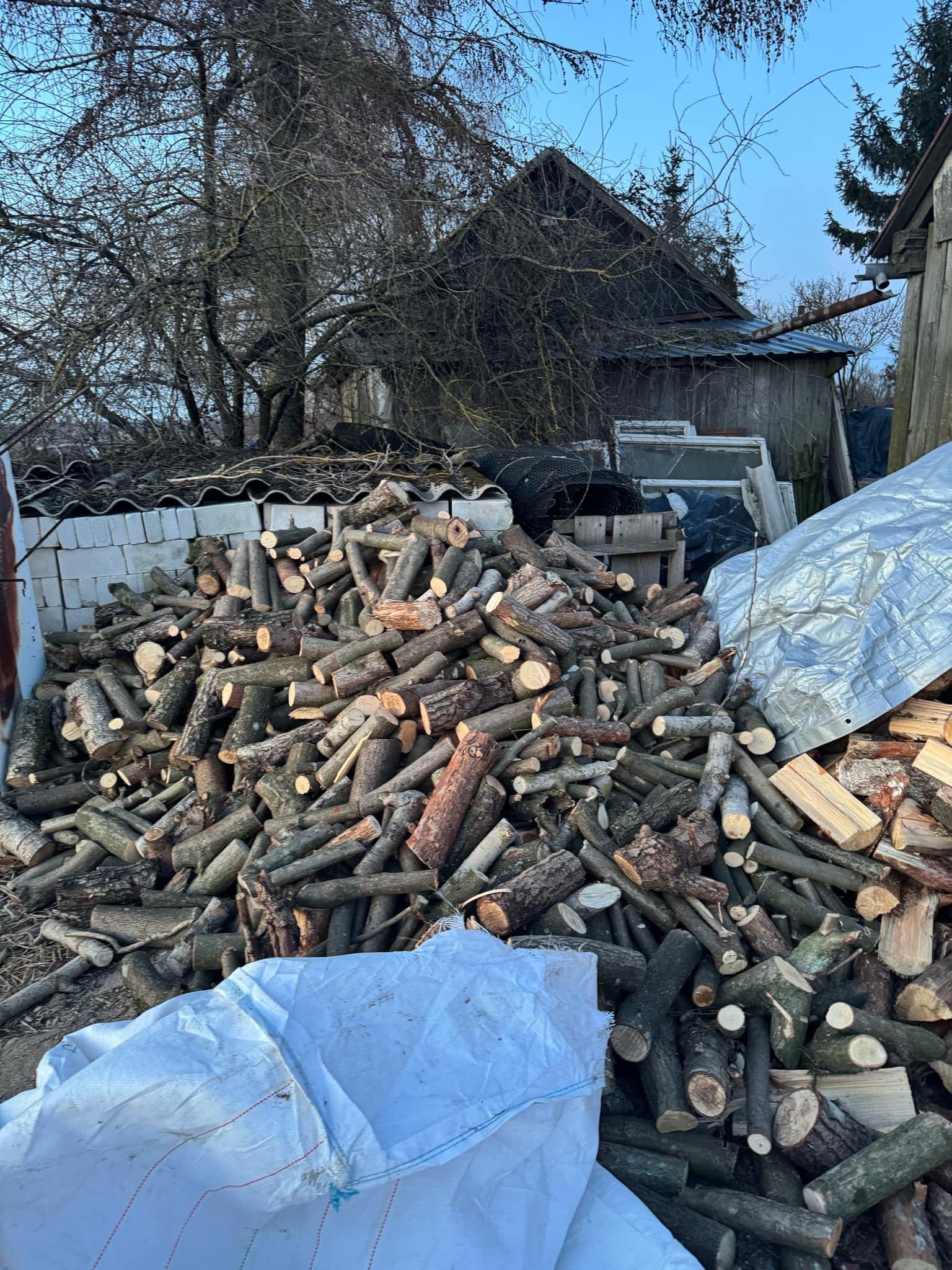 Drewno drzewo opał