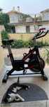Bicicleya estatica ATAA power 100