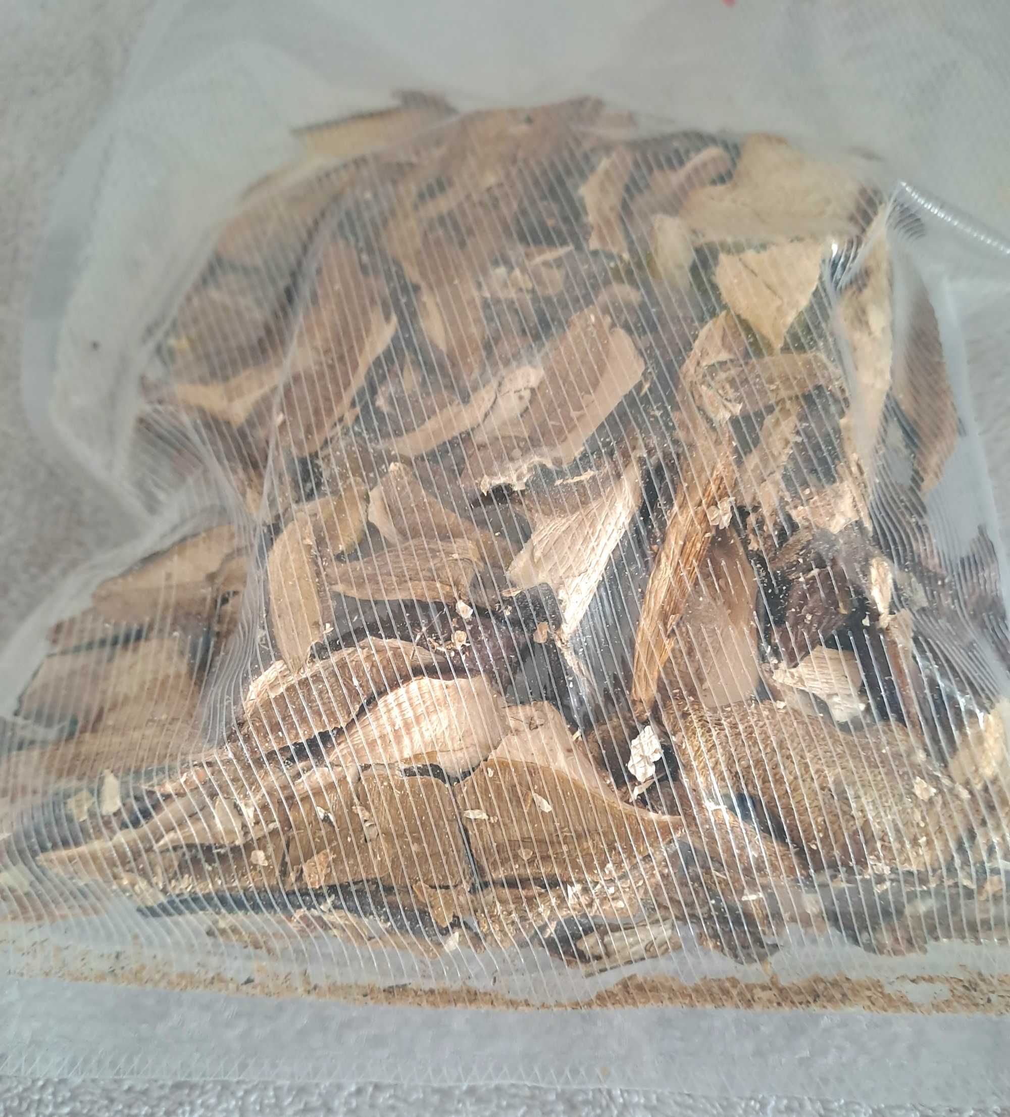 Cogumelos desidratados