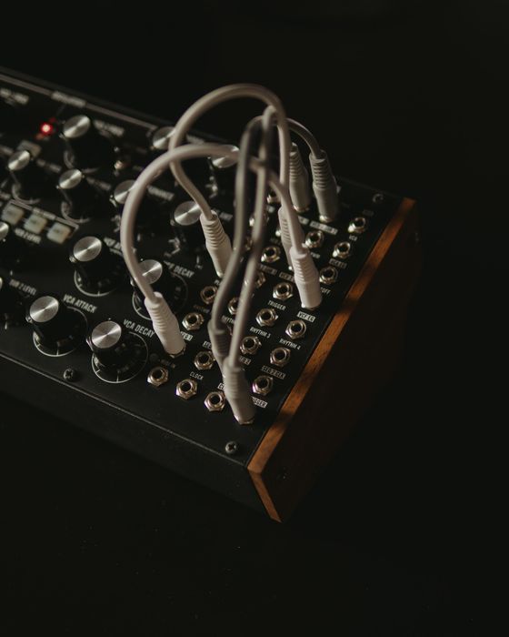 Синтезатор Moog Subharmonicon