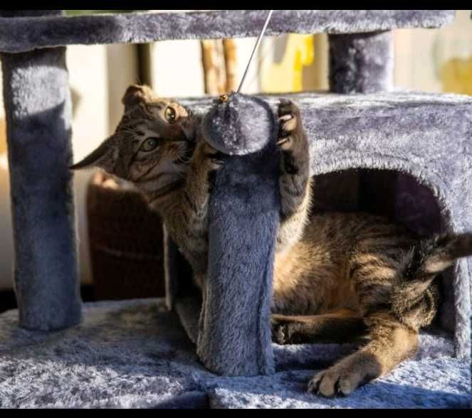 •NOWY• Stabilny Drapak Dla Kota 135cm XXL Dla Małych i Dużych Kotów