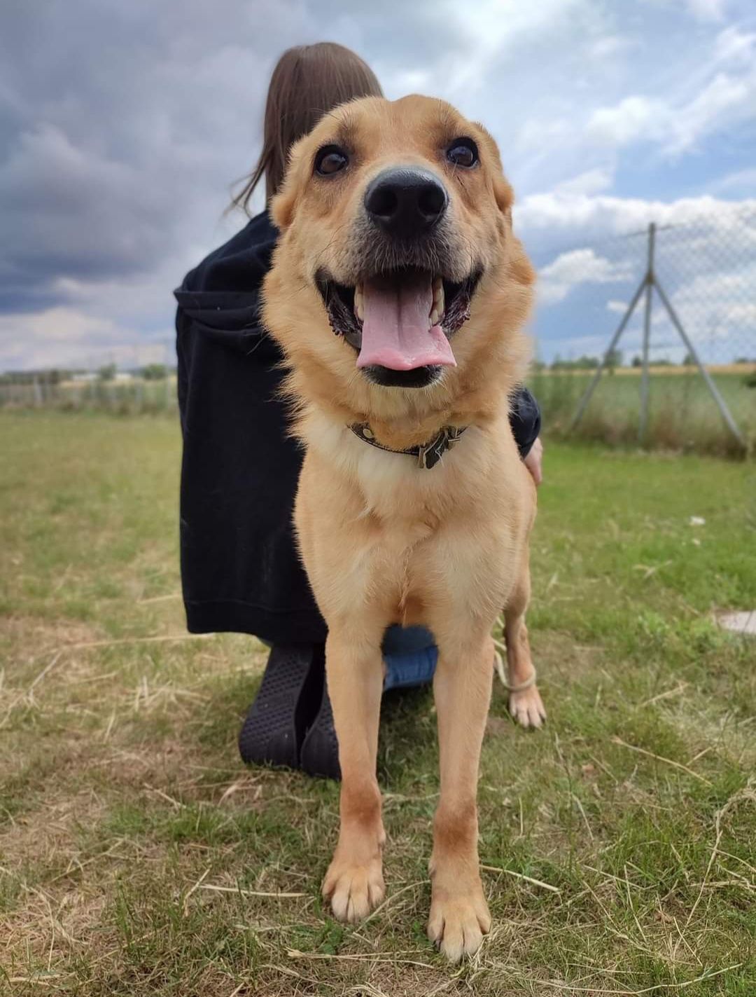 Oro do adopcji , do dobrego opiekuna