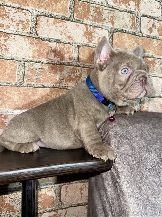 Шикарний хлопчік