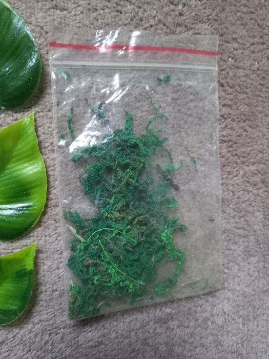 Sztuczne rośliny do dekoracji