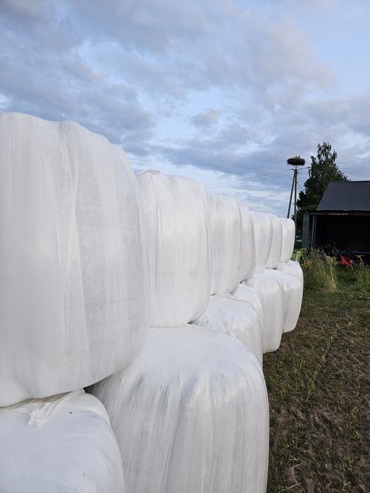 Sprzedam! Bele sianokiszonki 140zł/szt.