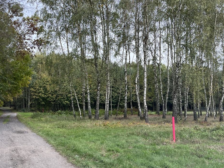 Działka budowlana Golce Piaskowa 32/80m łączna powierzchnia 1,8h