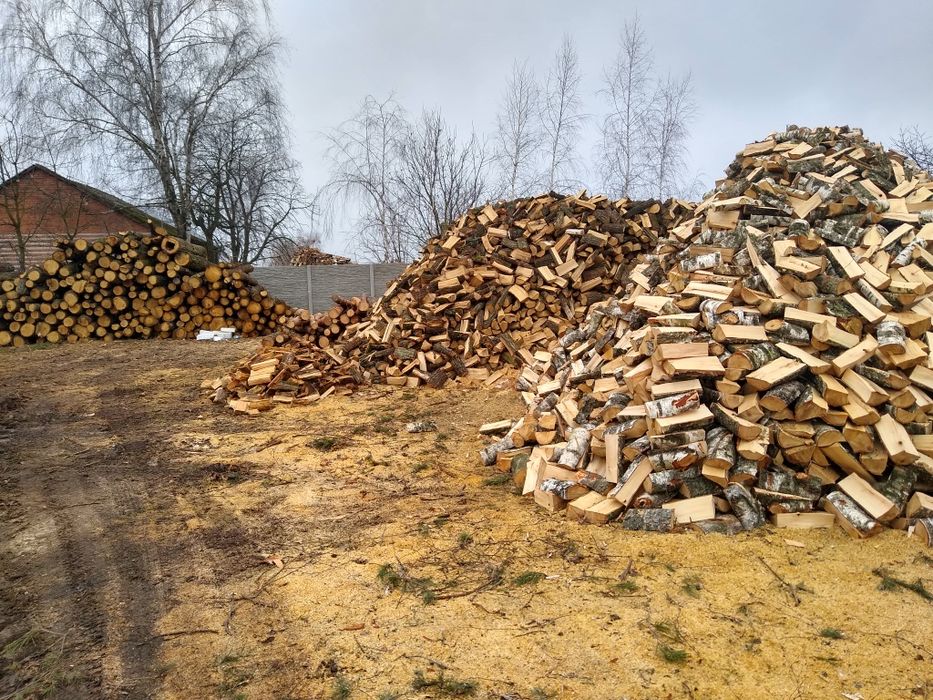 Drewno drzewo opałowe sosna dąb brzoza akacja buk