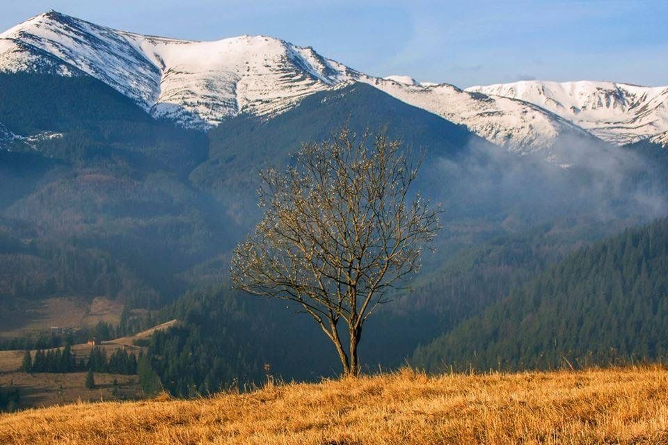 Земельна ділянка