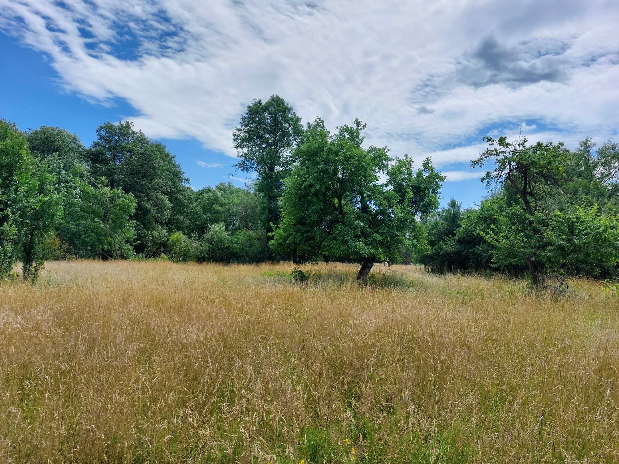 Siedlisko, Rolne, Brzozówka 36.600 m2 w otulinie Kampinosu