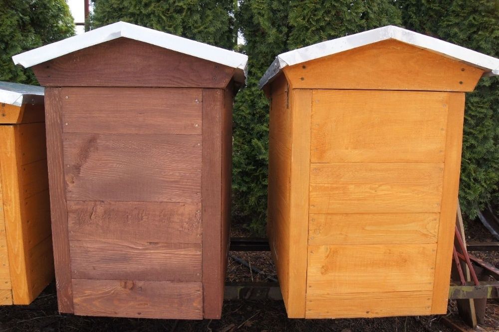 Ul Ule Dadant Dadanta Warszawski Poszerzany Pszczoły Odkłady