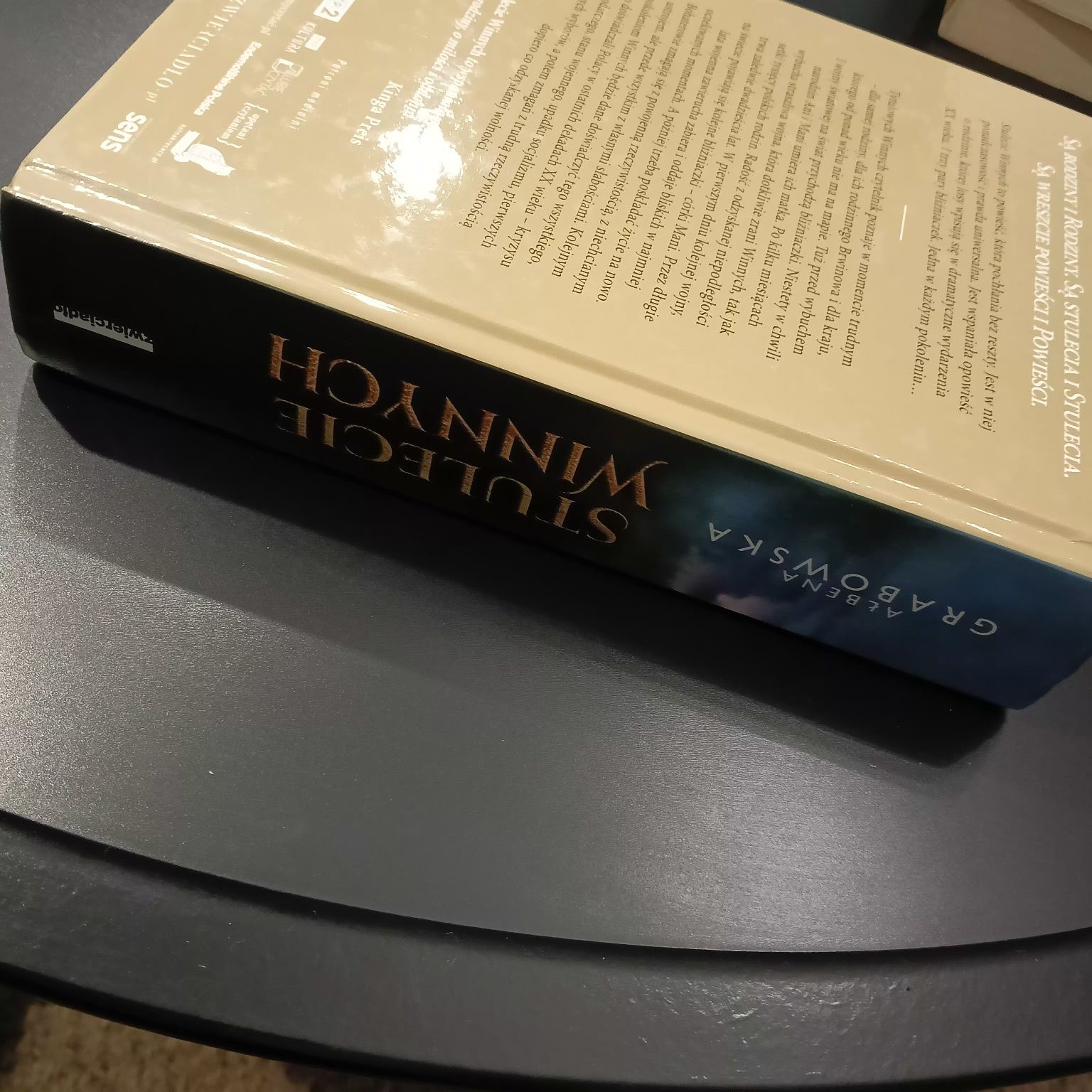 Stulecie Winnych/ trylogia/ Ałbena Grabowska
