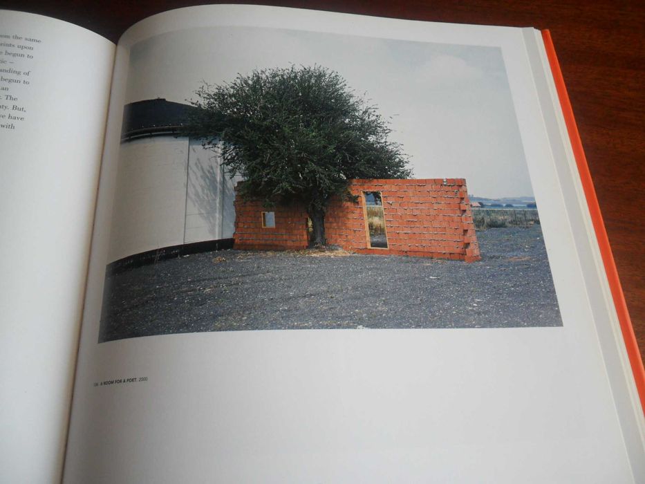 "Pedro Cabrita Reis" de Vários - 1ª Edição de 2003 - Livro em Inglês