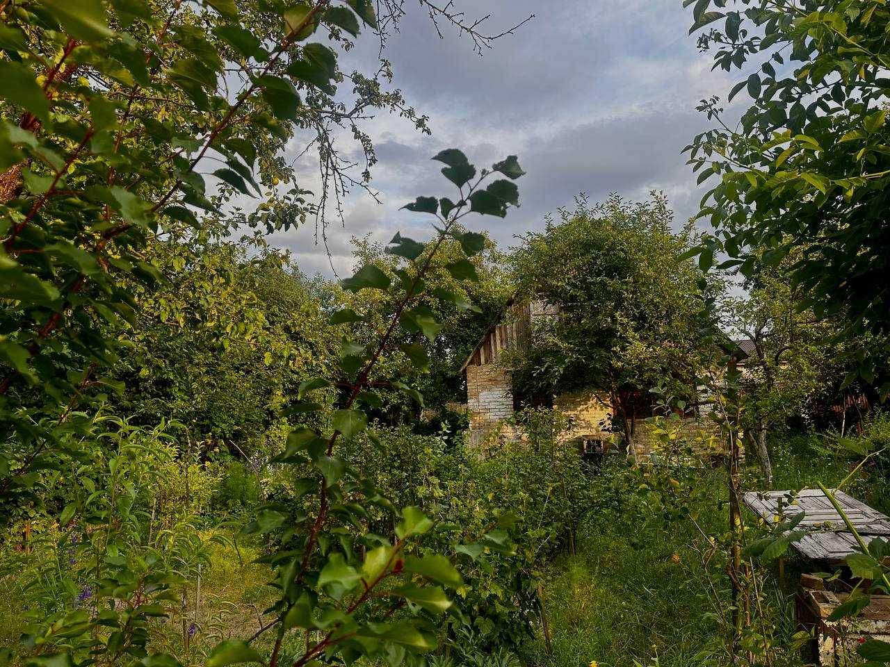 Берківці (Нивки) продаж старого будинку з ділянкою (район Лавіни)