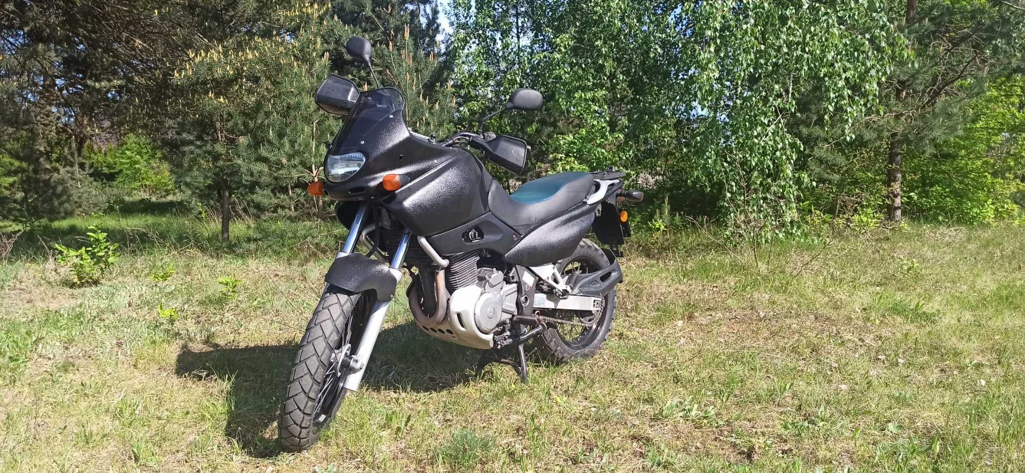 Suzuki xf 650 freewind