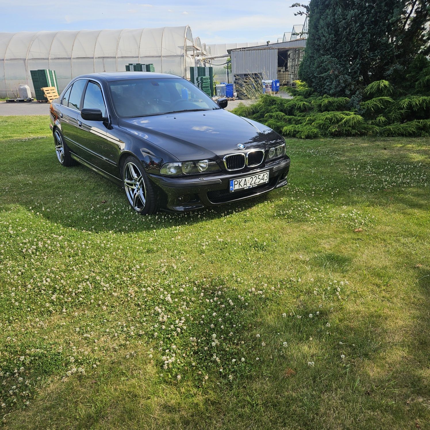 Bmw e39 535i V8 sedan