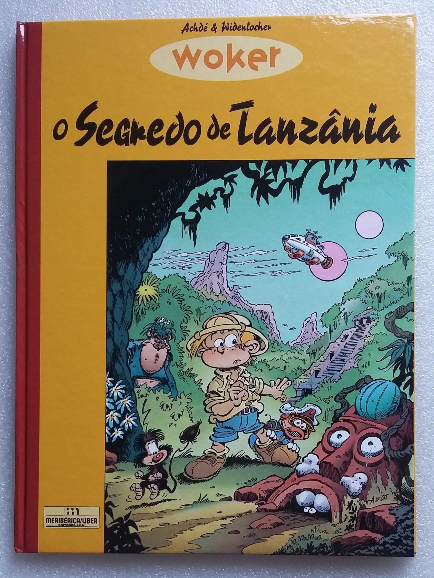 O Segredo de Tânzania- Capa dura