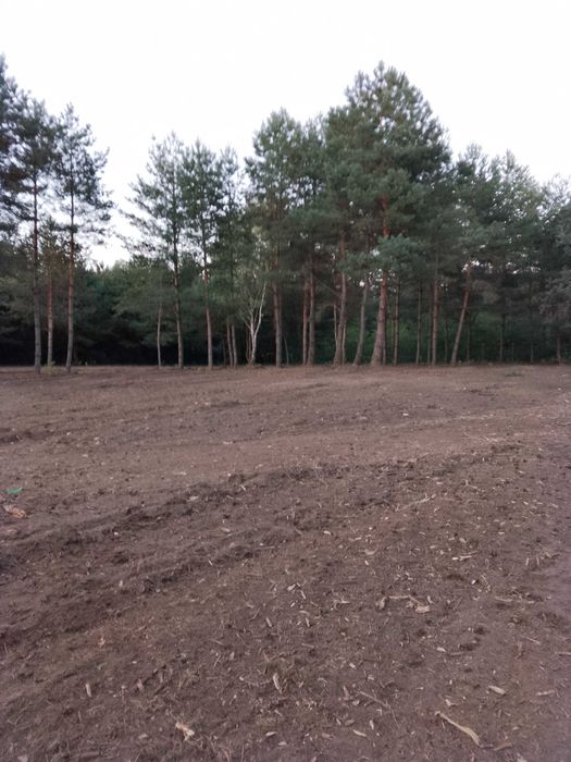 Mulczowanie Karczowanie Drzewa Krzewy Samosiejki Czyszczenie działki