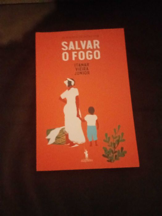 Salvar o fogo de Itamar Vieira junior