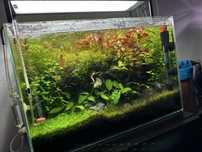 Zestaw akwarium 40L opti