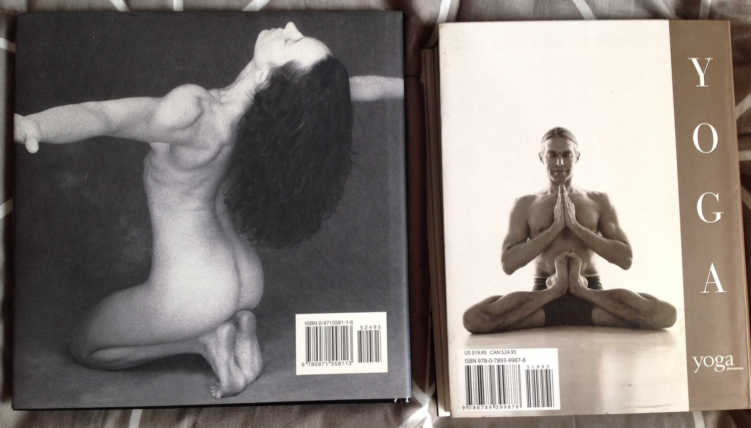 Yoga Livros com técnicas e imagens