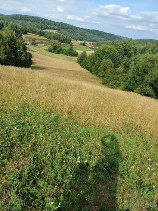 Działka rolno- rekreacyjna