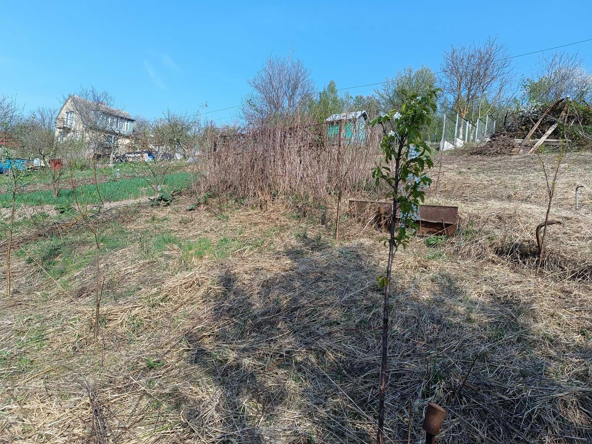 Терміново Продам дачу в Солонці 15 соток