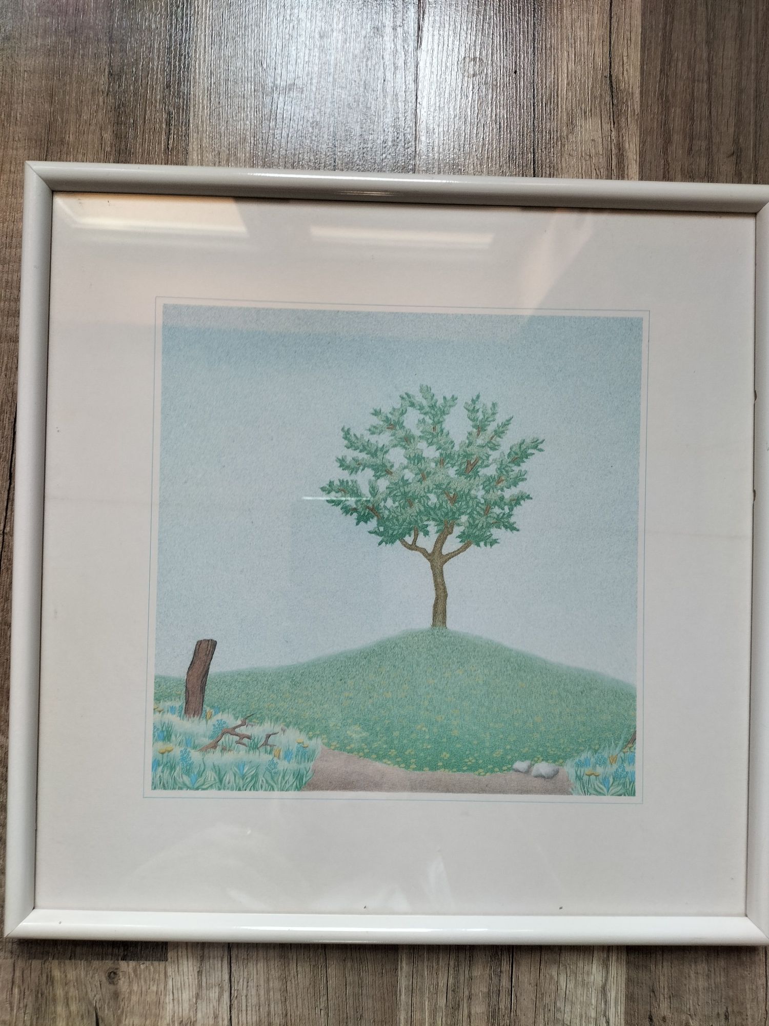 Vintage 4 pory roku Drzewo obrazki litografia