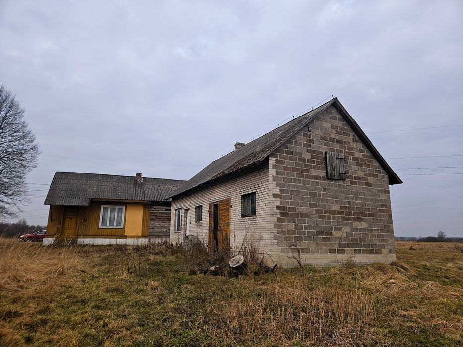 Siedlisko przy rzece Pilicy k. Koniecpola