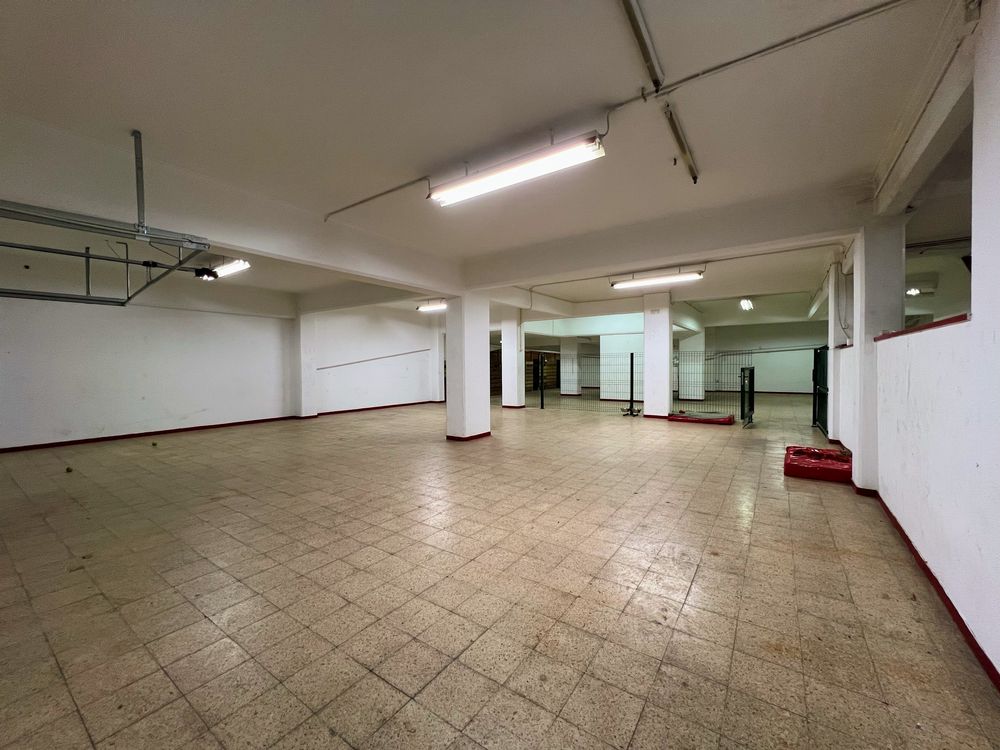 Vende-se Creche Canina em pelo crescimento | Lisboa Central