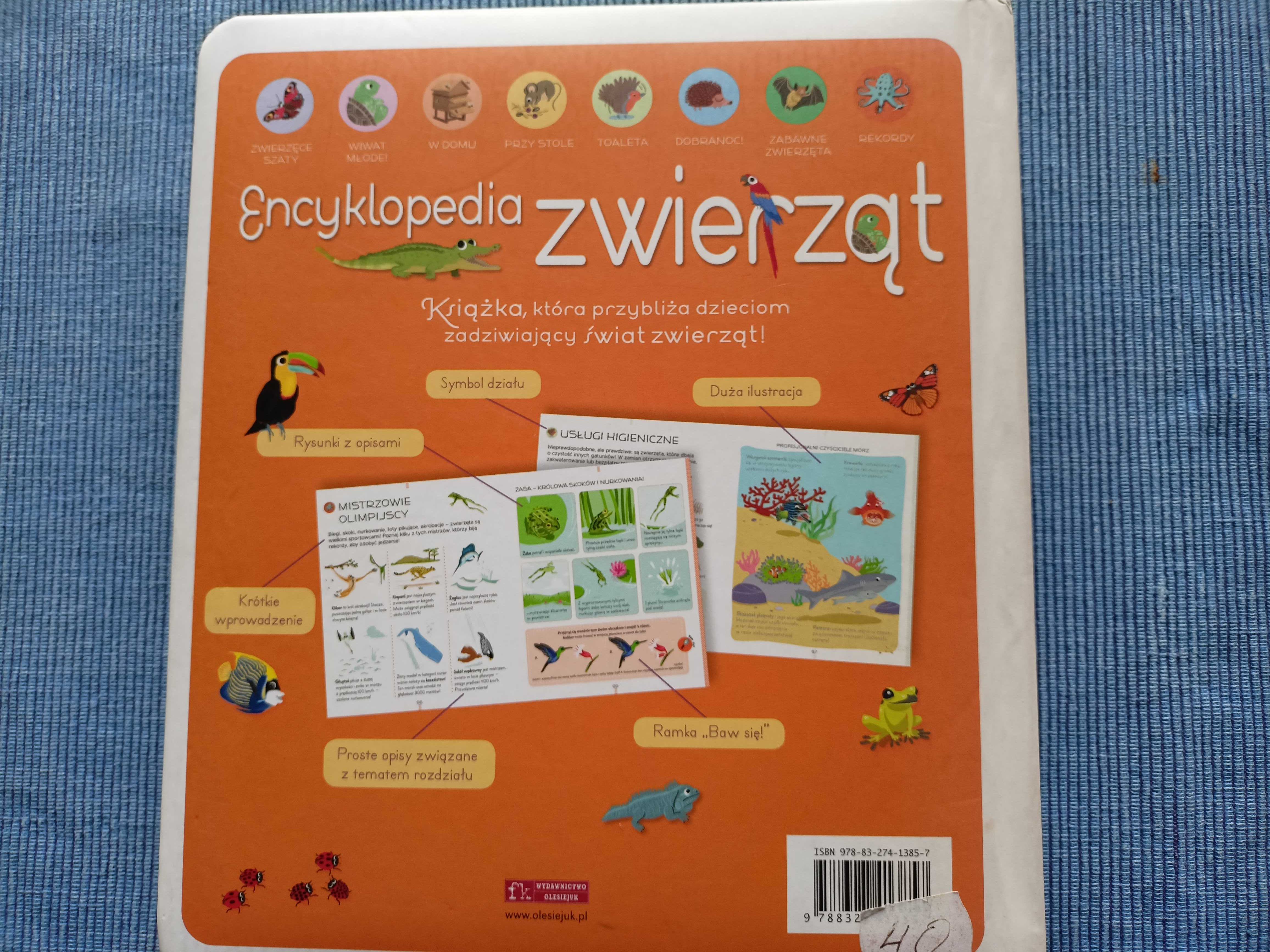 Encyklopedia zwierząt. Świat bez tajemnic.