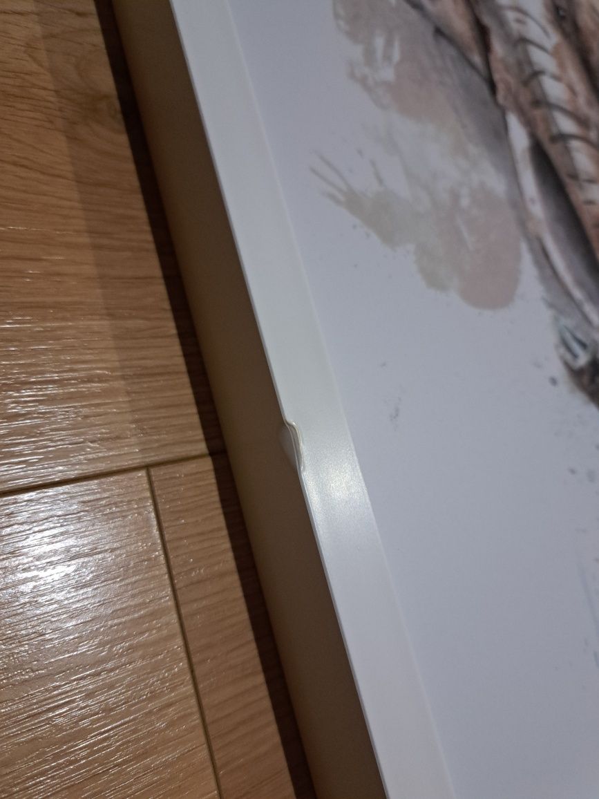 Obraz agata meble słoń i kot 40x50