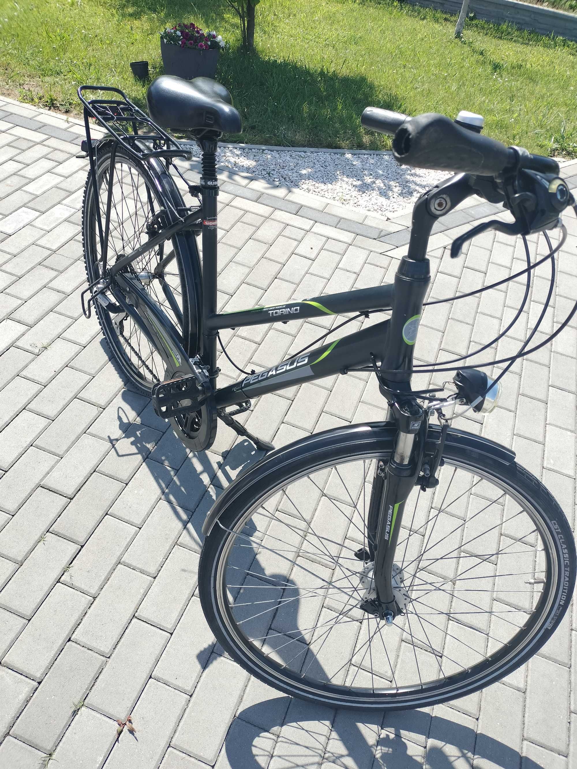 Rower Pegasus Torino