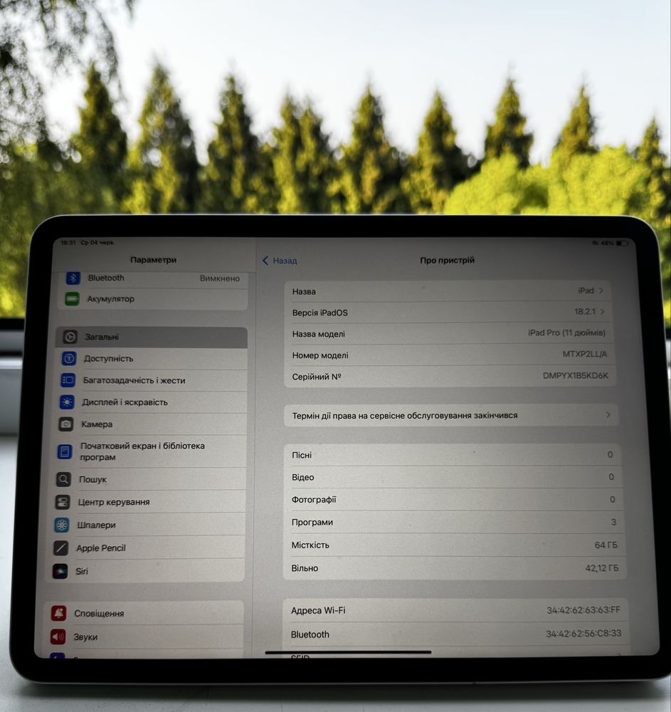 iPad Pro (11 дюймів)