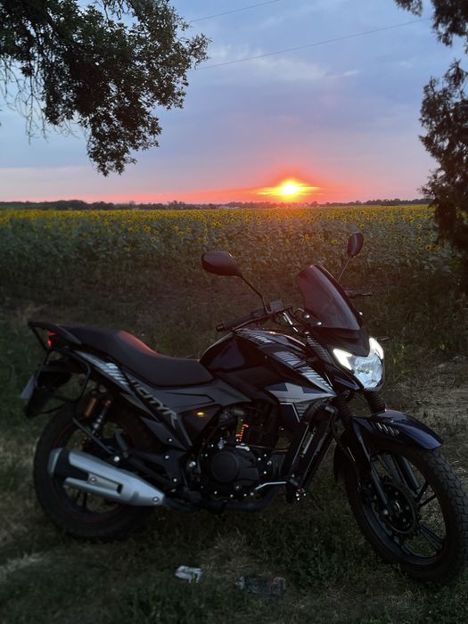 Lifan Cityr 200 New Lf 2e