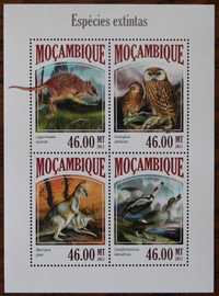 Mozambik sowa i inne zwierzęta