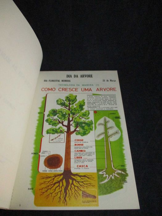 Livro Tecnologia da Madeira Dia da Árvore Dia Florestal Mundial