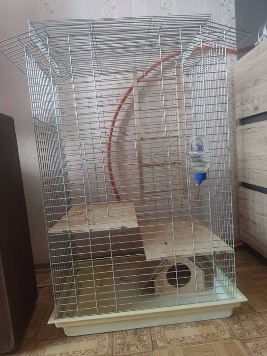 Продам клетку для шиншилли