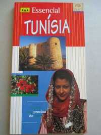 Essencial Tunísia+TOP10+2Petit Futé+1 Hachette+ + T' Guide World Radi