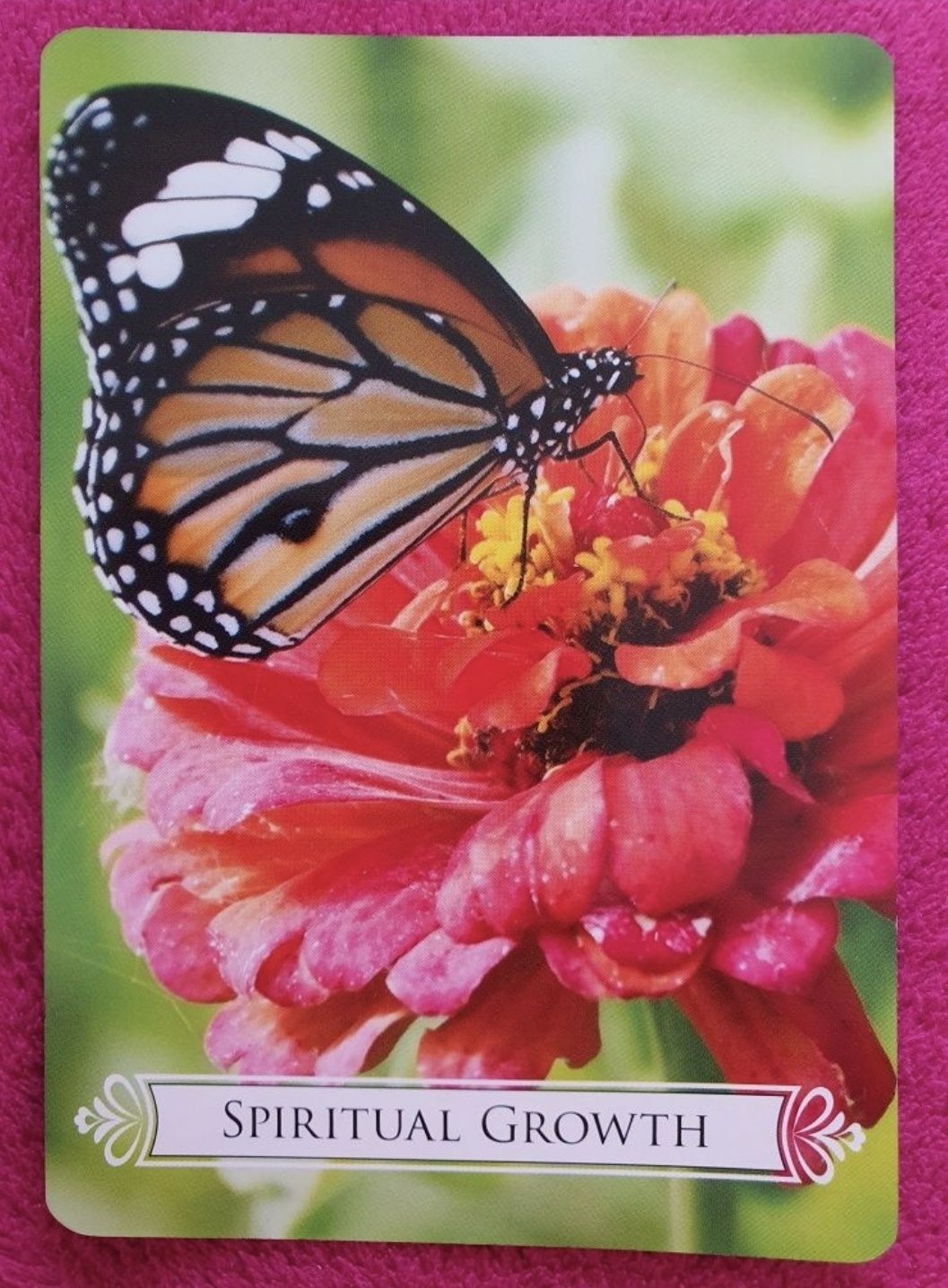 Karty Oryginalne Doreen Virtue Butterfly Oracle Cards Brak jednej kart