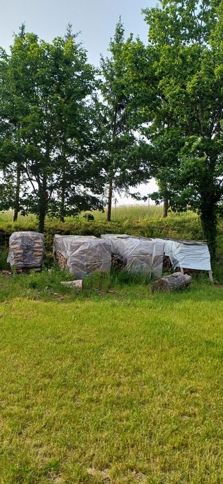 Sprzedam drewno opałowe