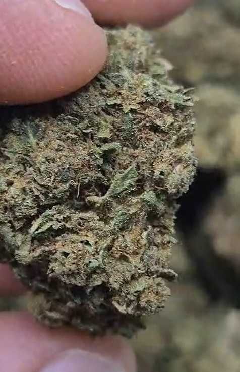 Susz Konopny CBD Banana Kush Hurt PREMIUM Mocny Aromat TOP Jakość 1KG