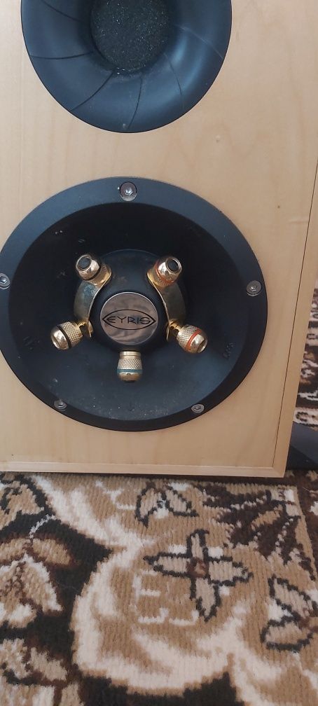 Tannoy eyris dc 3