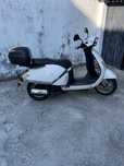 Scooter GOES ZN-125